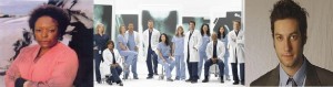 l-scott-caldwell-adam-busch-dans-greys-anatomy